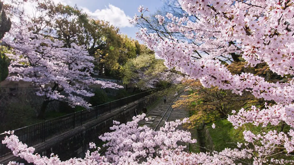 Kyoto Nanzenji Garden Ryokan Yachiyo 京都 南禅寺 八千代 旅館