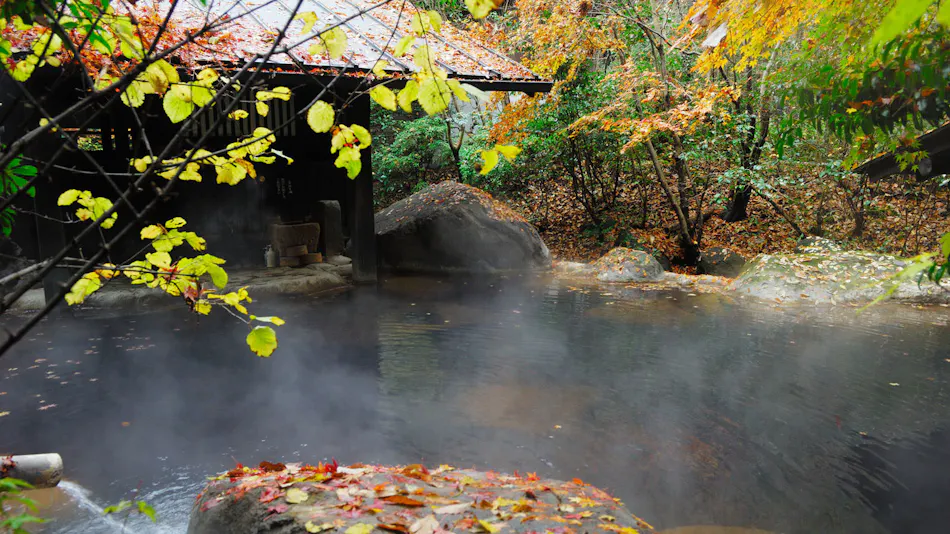Kurokawa Onsen Ryokan Sanga