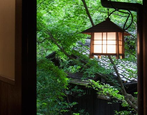 夏椿　切石風呂