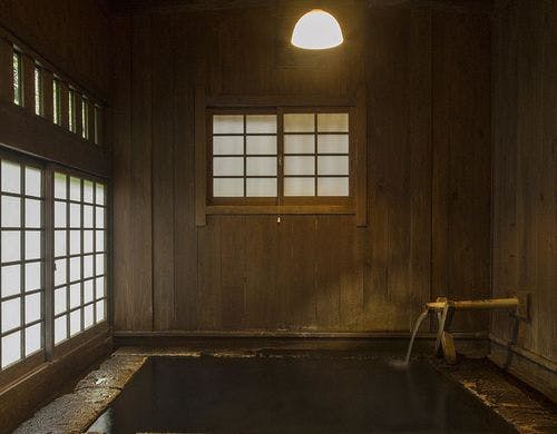 えごの木