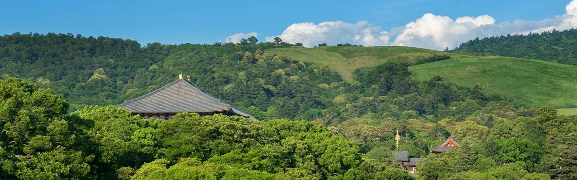 奈良町家 和鹿彩 別邸