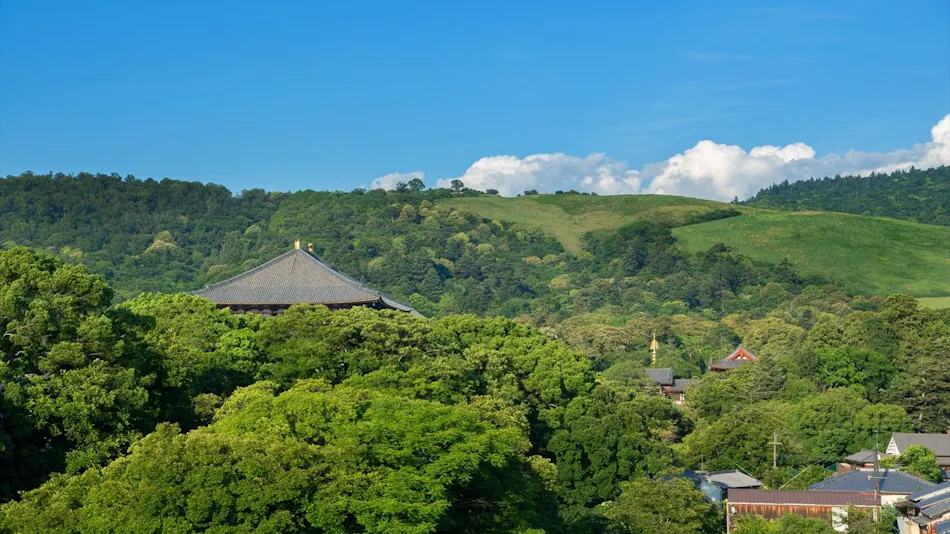 Nara Machiya Wakasa Bettei