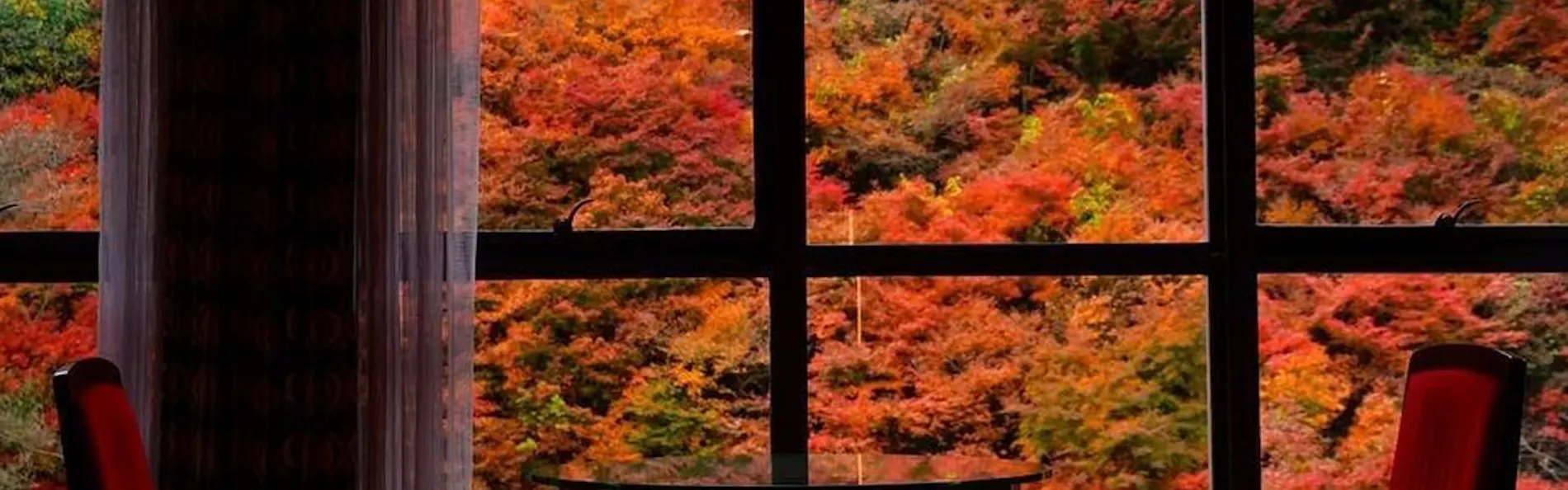 奥道後 壱湯の守