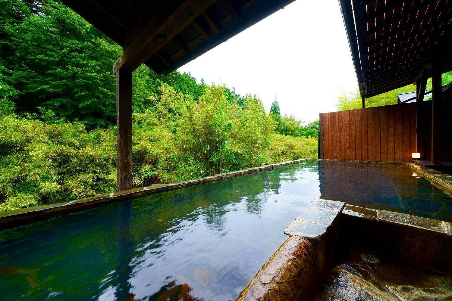 Moonlight (Bilik dengan tab mandi terbuka)