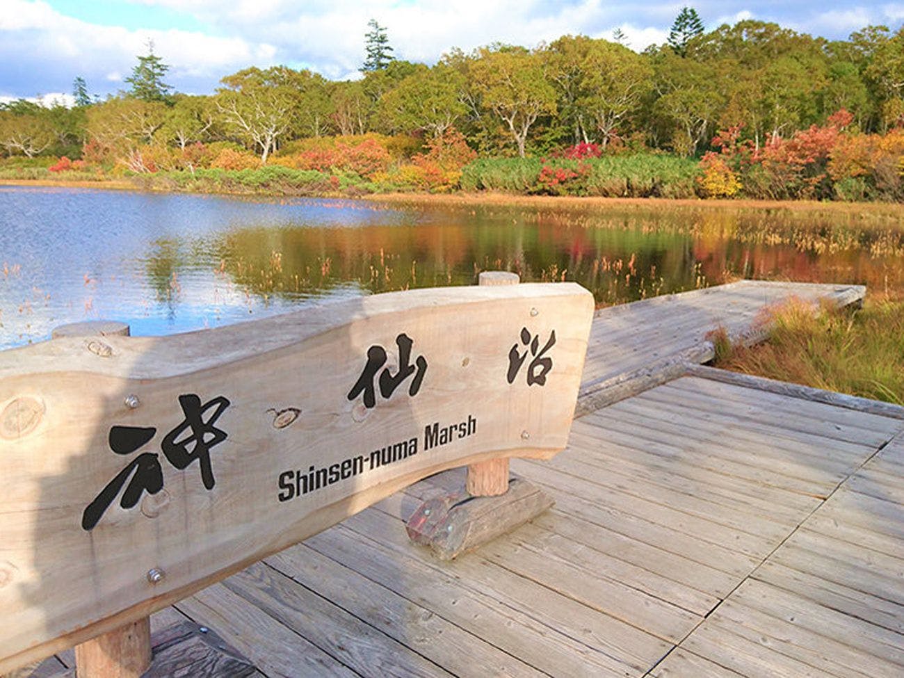 Shinsen-numa (35 นาทีโดยรถยนต์)