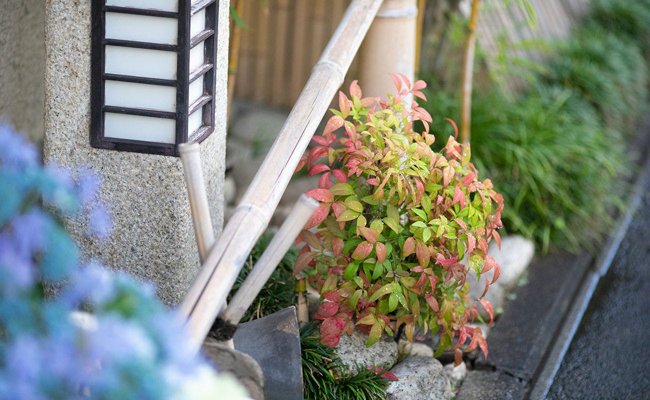 京の宿　北海館　お花坊