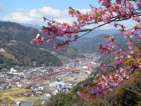 高台から海を望む 絶景の宿　伊豆・熱川温泉 粋光（SUIKO）