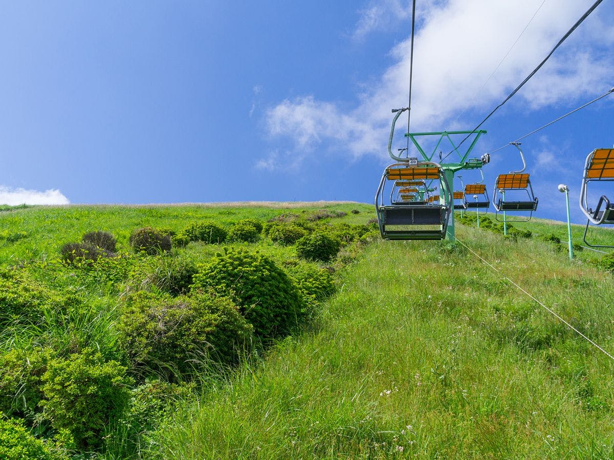 【早期予約】55日前予約早取り＜事前決済限定＞｜1泊2食付