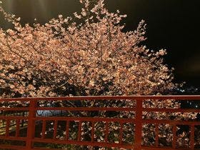 高台から海を望む 絶景の宿　伊豆・熱川温泉 粋光（SUIKO）