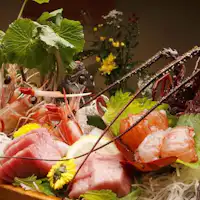 เรือซาชิมิกุ้งมังกร