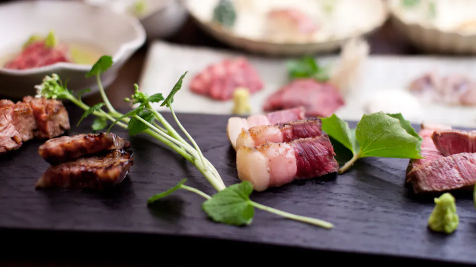 Kyushu Mountain and River Cuisine Gokuraku Onsen Takumi no Yado