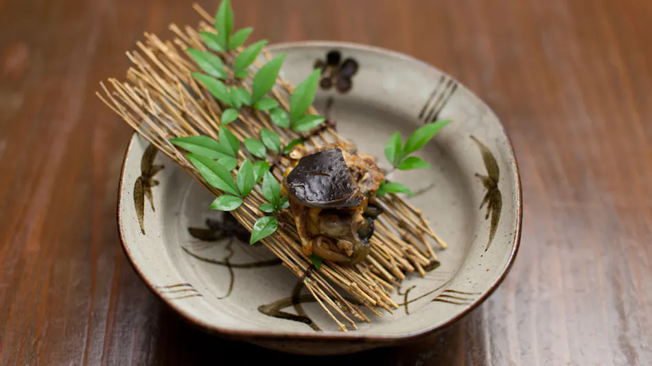 Kyushu Mountain and River Cuisine Gokuraku Onsen Takumi no Yado