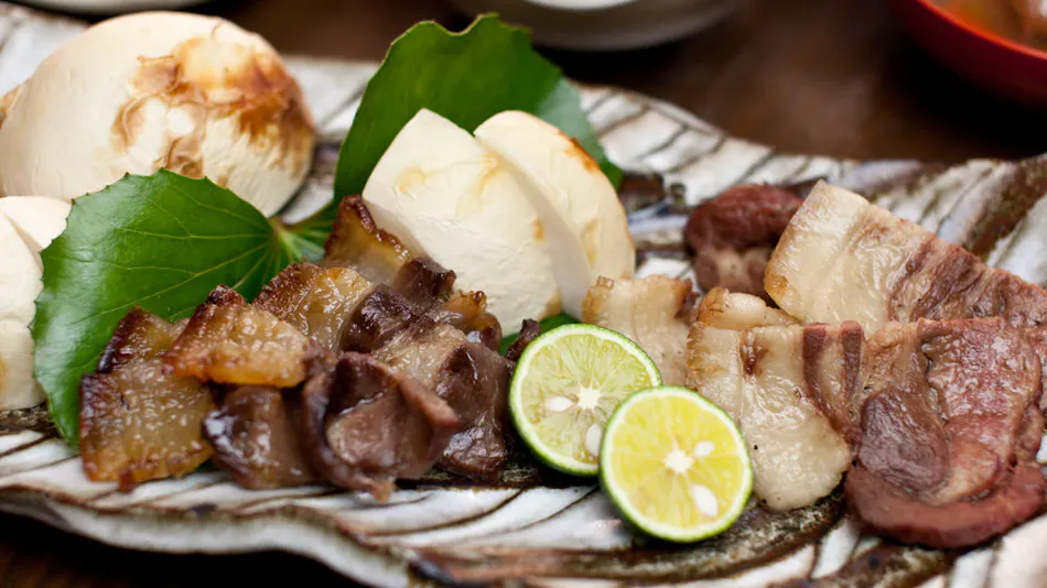 Kyushu Mountain and River Cuisine Gokuraku Onsen Takumi no Yado