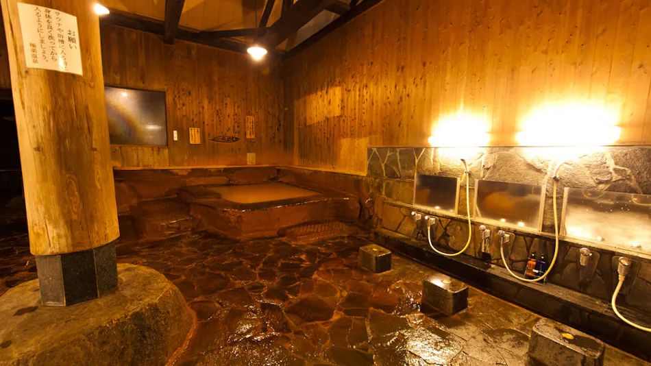 Kyushu Mountain and River Cuisine Gokuraku Onsen Takumi no Yado