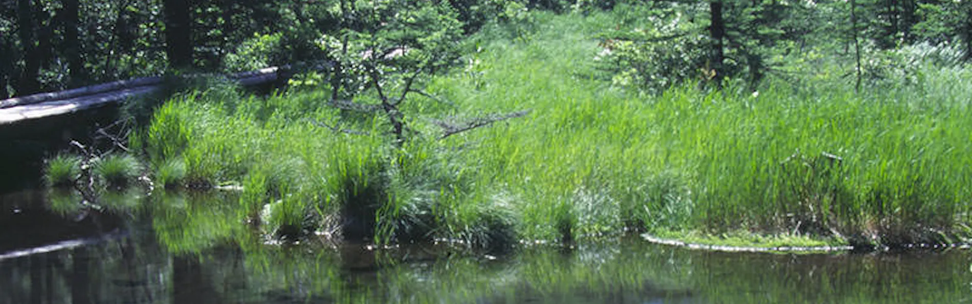 ルグラン旧軽井沢(グランベルホテルズ&リゾーツ)