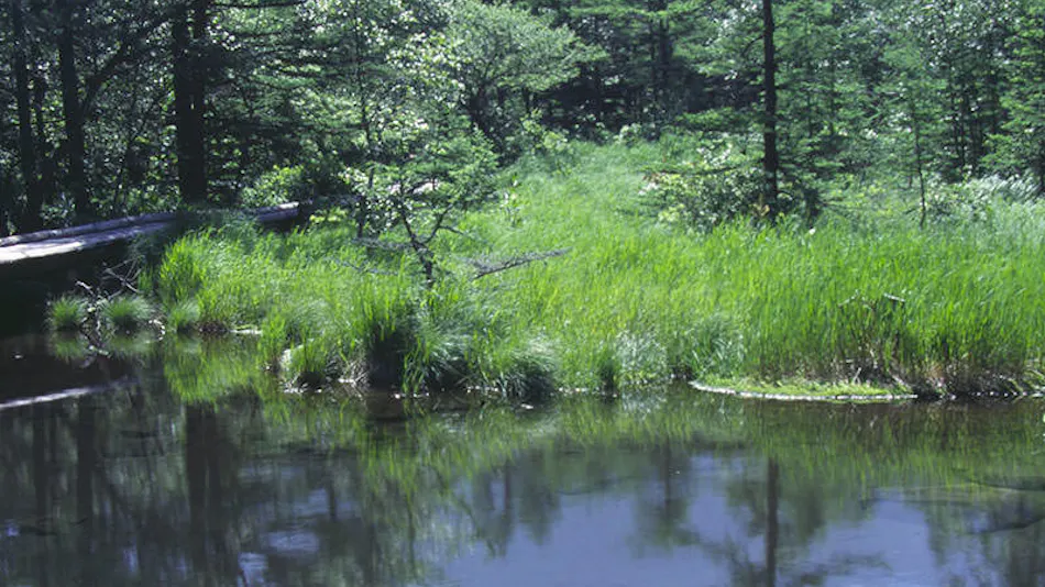 Le Grand Kyu Karuizawa (Granbell Hotels & Resorts)