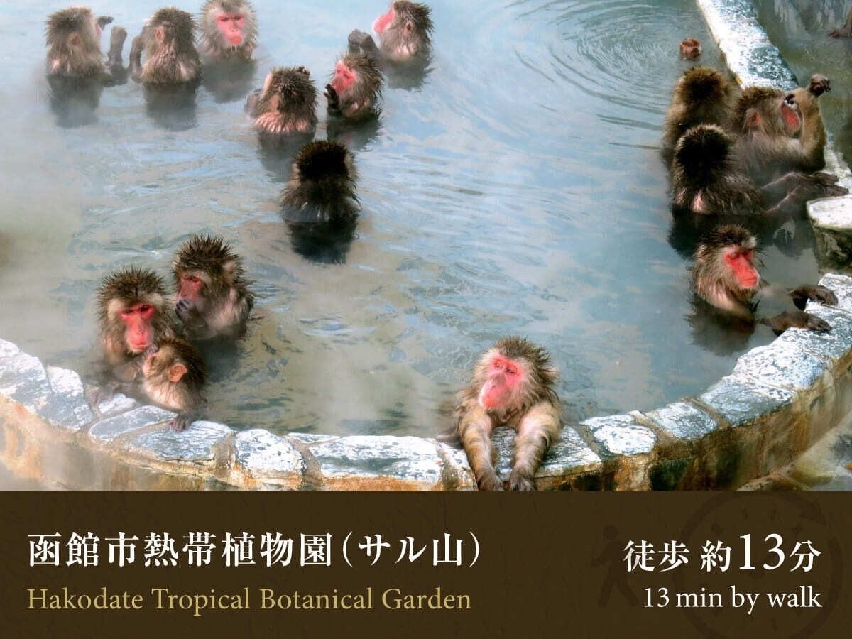 ■Kebun Raya Tropis Kota Hakodate (Gunung Monyet)