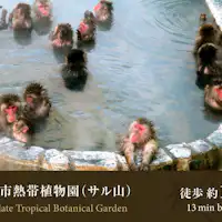 ■Kebun Raya Tropis Kota Hakodate (Gunung Monyet)