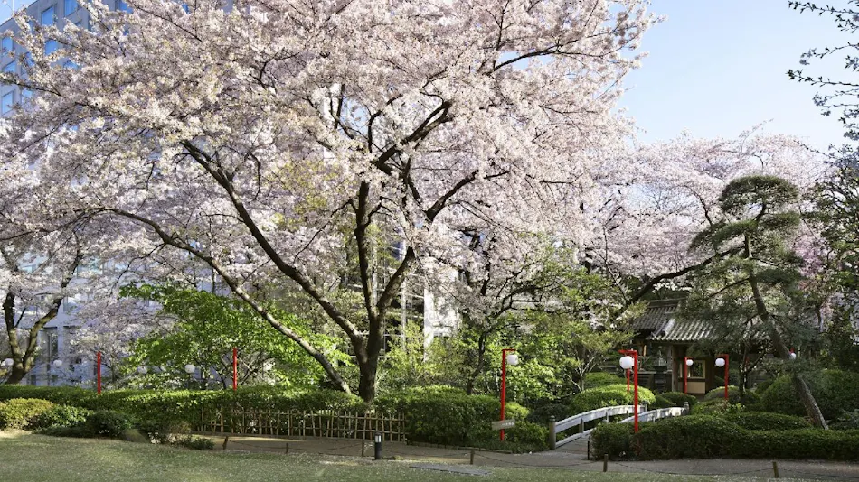 TAKANAWA HANAKOHRO-in Grand Prince Hotel Takanawa