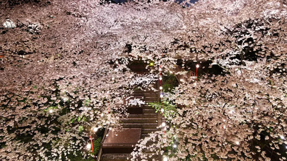 TAKANAWA HANAKOHRO-in Grand Prince Hotel Takanawa