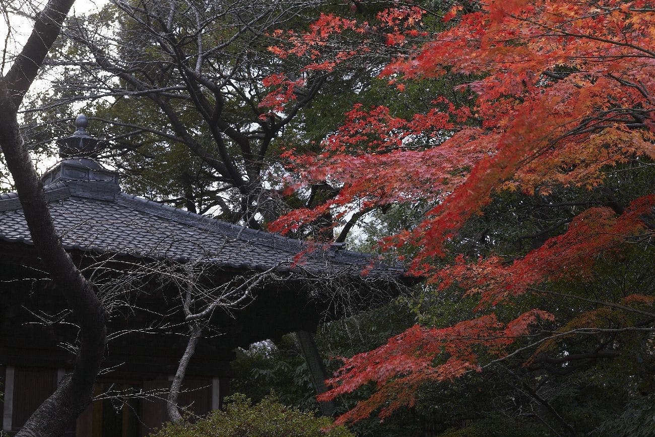 高輪 花香路（グランドプリンスホテル高輪内）