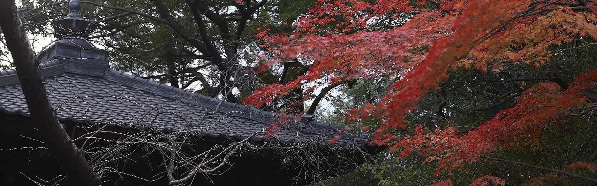 高輪 花香路(グランドプリンスホテル高輪内)