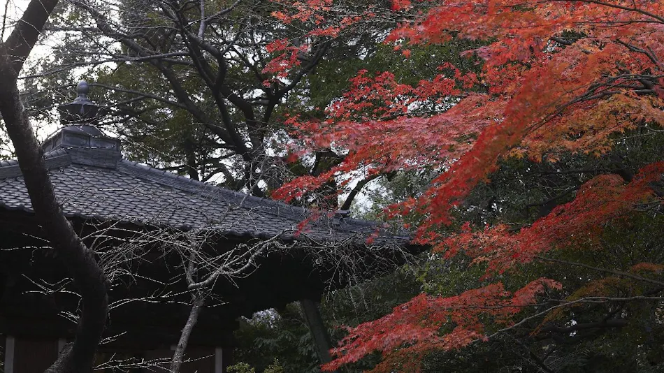 TAKANAWA HANAKOHRO-in Grand Prince Hotel Takanawa