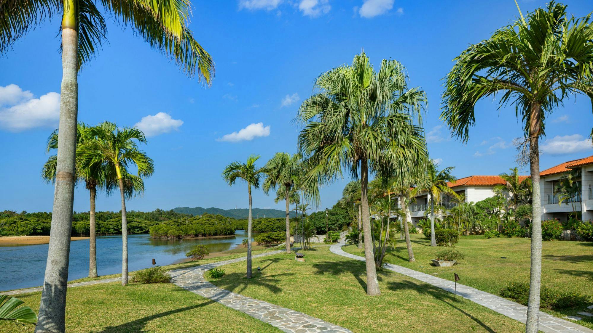 THE UBUFURU ISHIGAKI