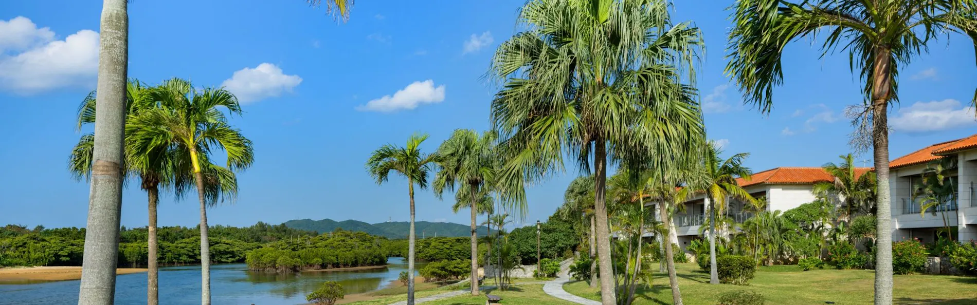 THE UBUFURU ISHIGAKI