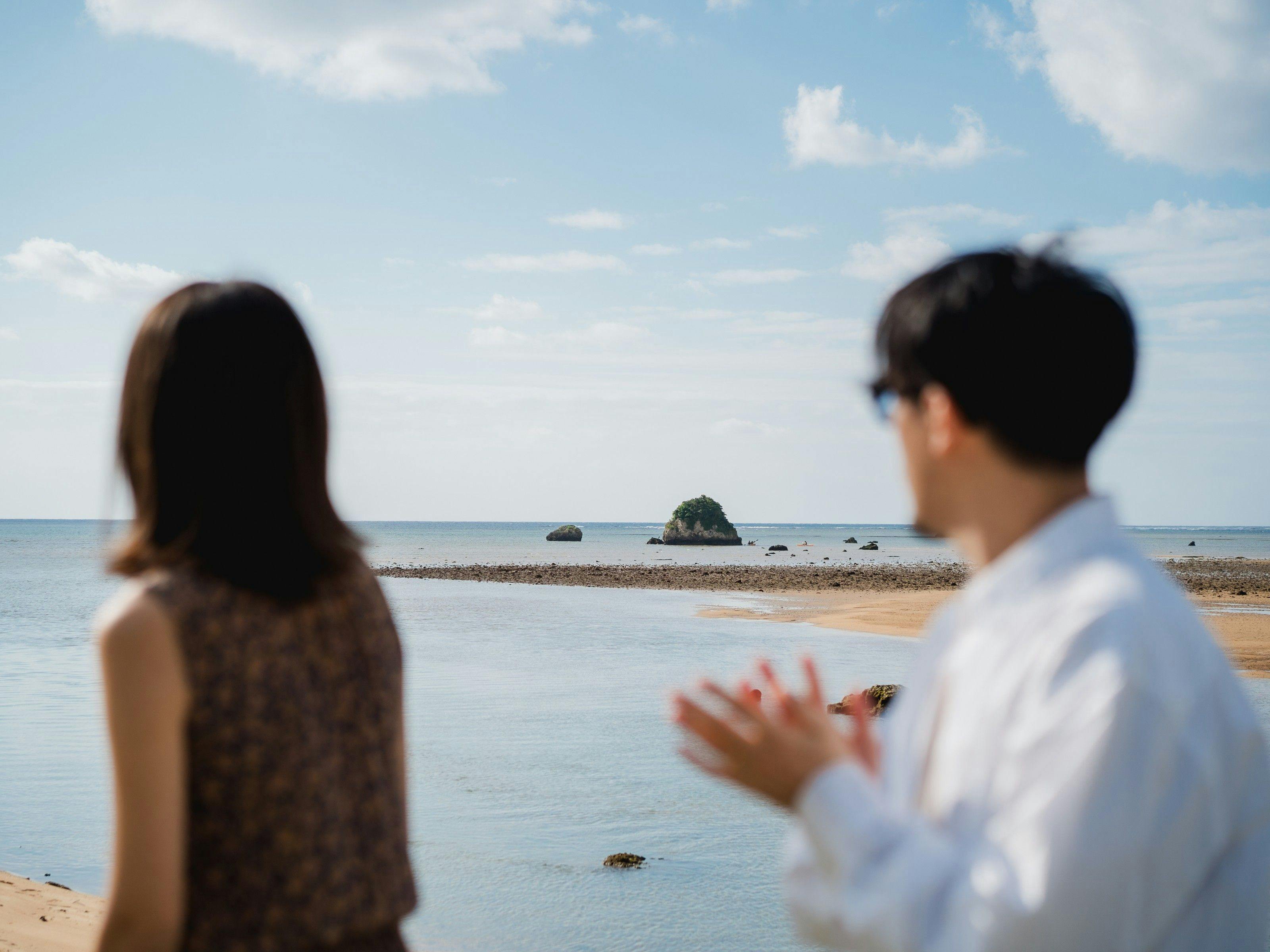 THE UBUFURU ISHIGAKI