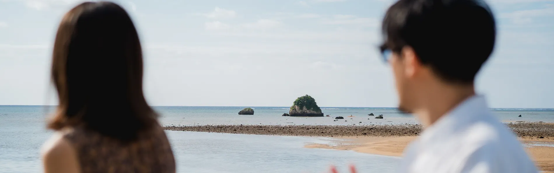 THE UBUFURU ISHIGAKI