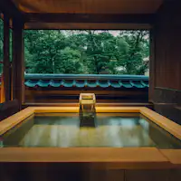 Bilik sisi istana dengan separa kolam mandi terbuka - Contoh