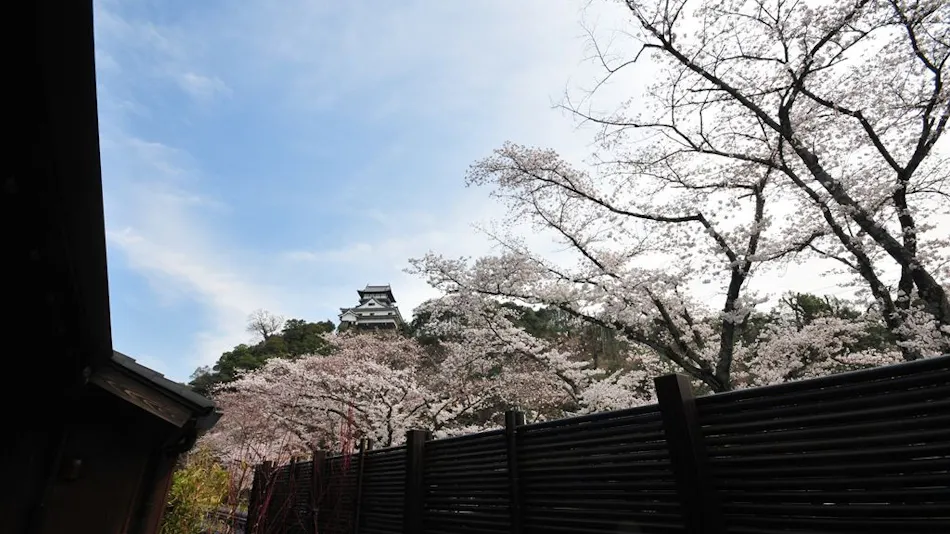 Akariya Geihanro