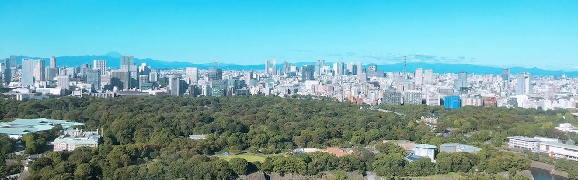 アスコット丸の内東京