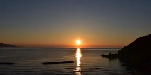 夢、美しく舞い踊る 静花扇