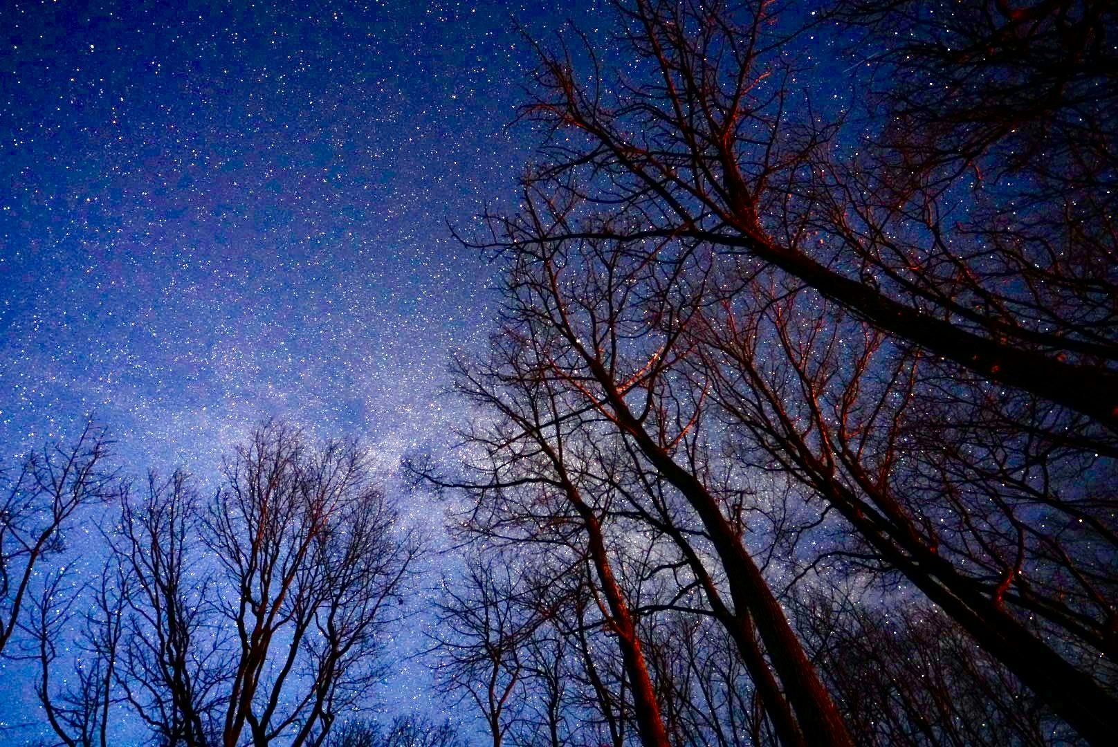 星降るレストラン