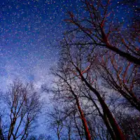 星降るレストラン