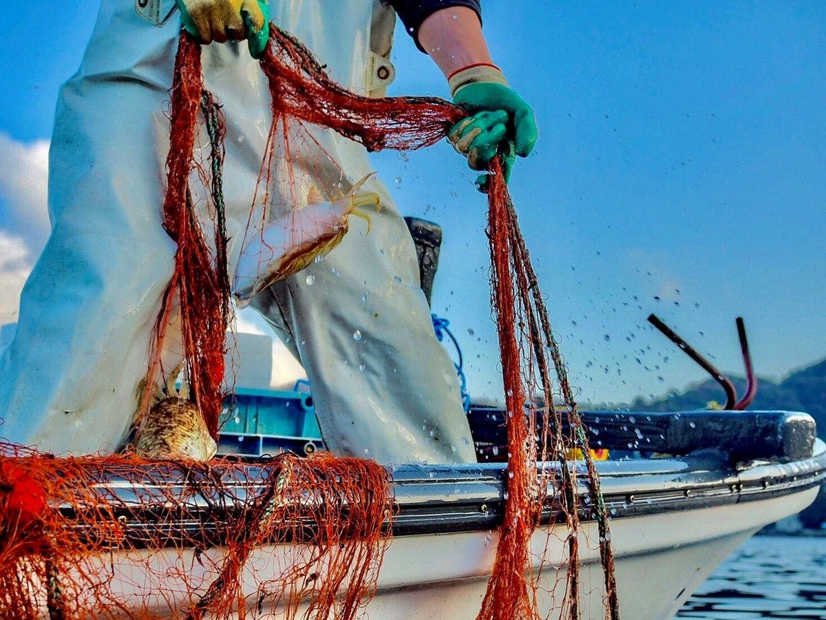 【若狭のおもてなし】地元で獲れた海の幸