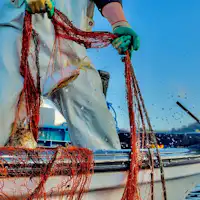 【若狭のおもてなし】地元で獲れた海の幸