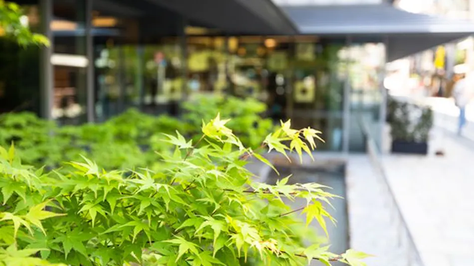 Cross Hotel Kyoto (ORIX Hotels & Resorts)