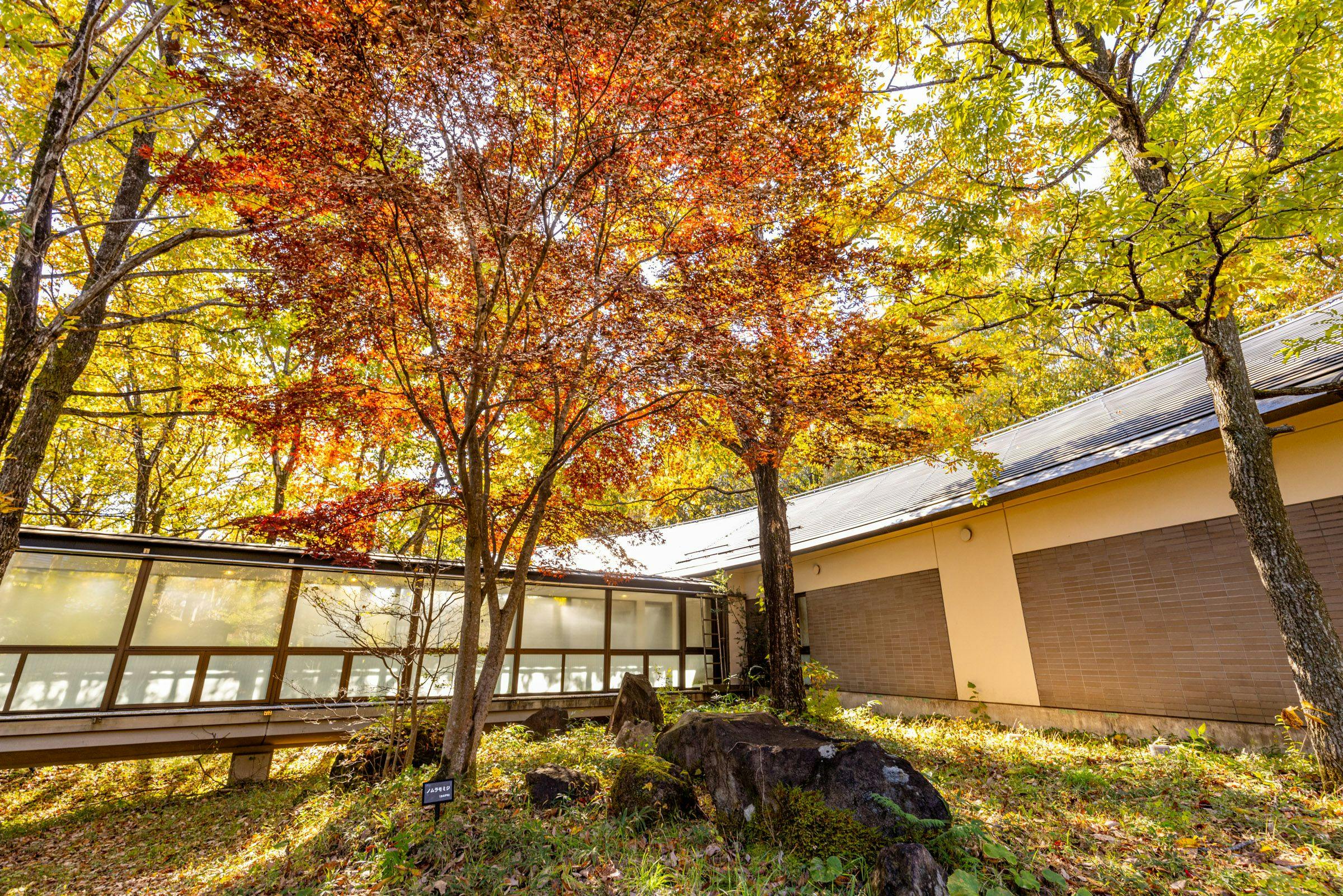 THE KEY HIGHLAND NASU