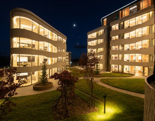 緑と温かな光が調和し、幻想的な雰囲気に