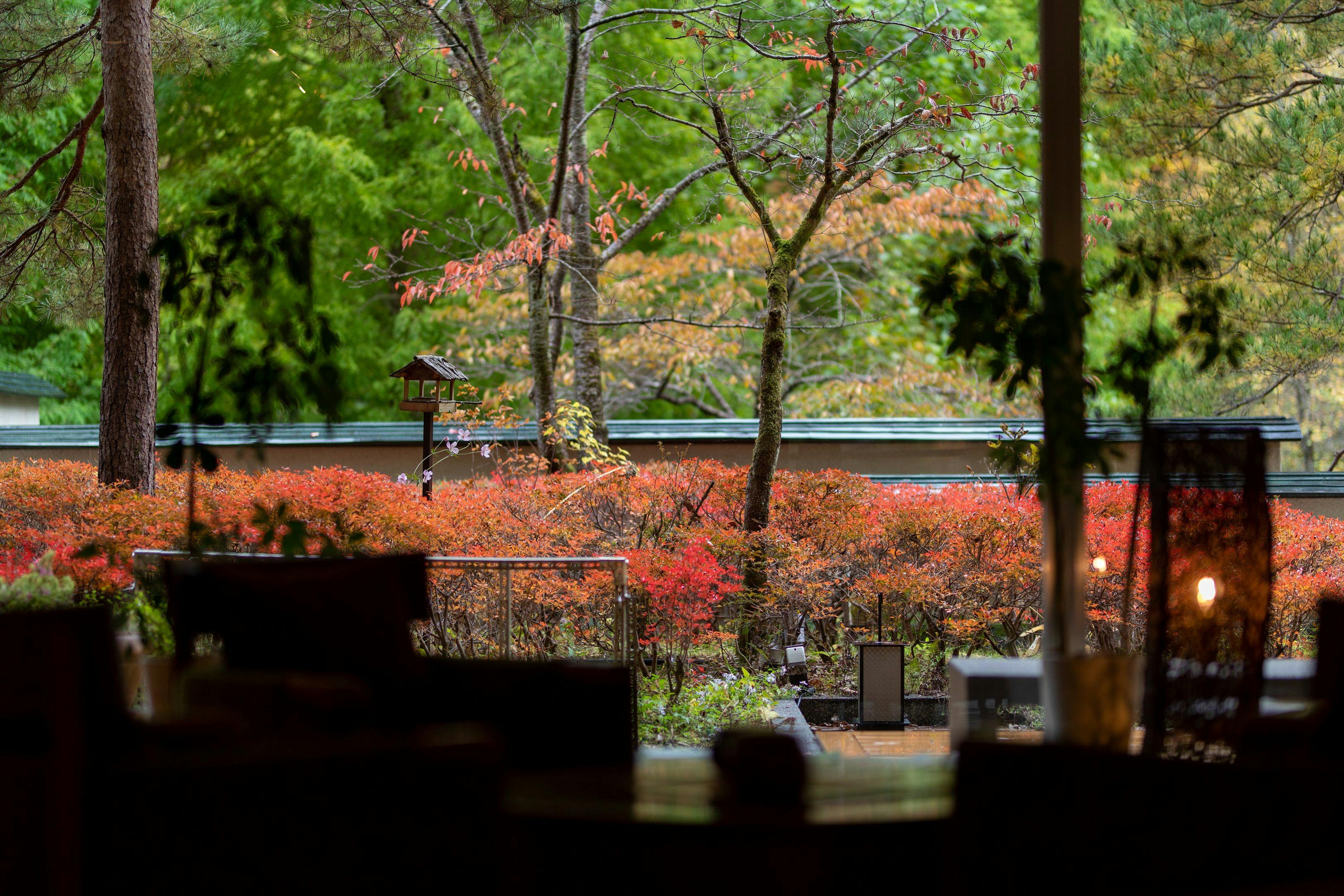 Salon Santai Teres Musim Luruh