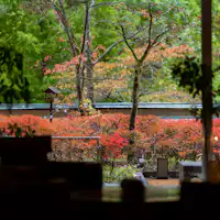 Salon Santai Teres Musim Luruh