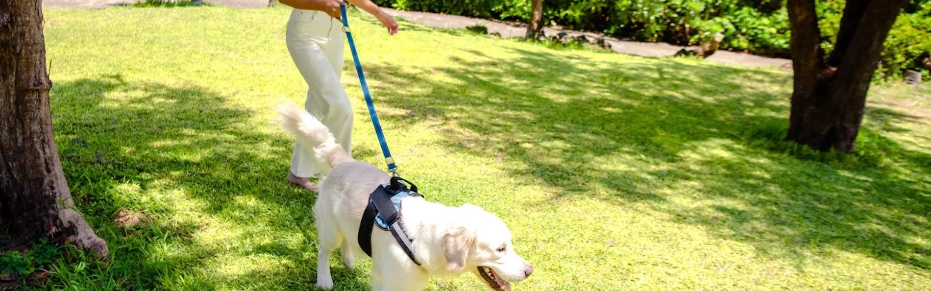 ホテルシギラミラージュ