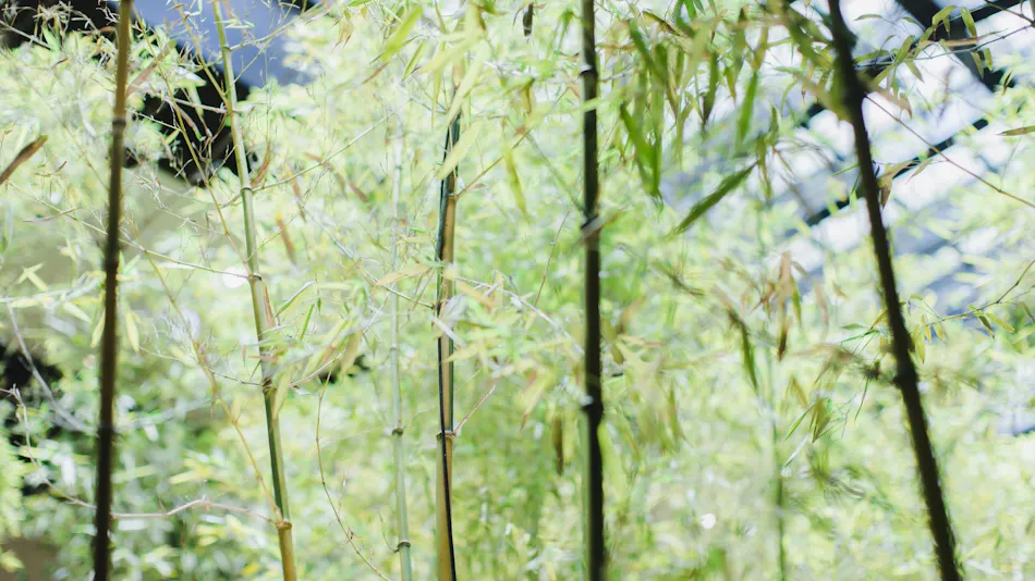 Dhawa Yura Kyoto by Banyan Group