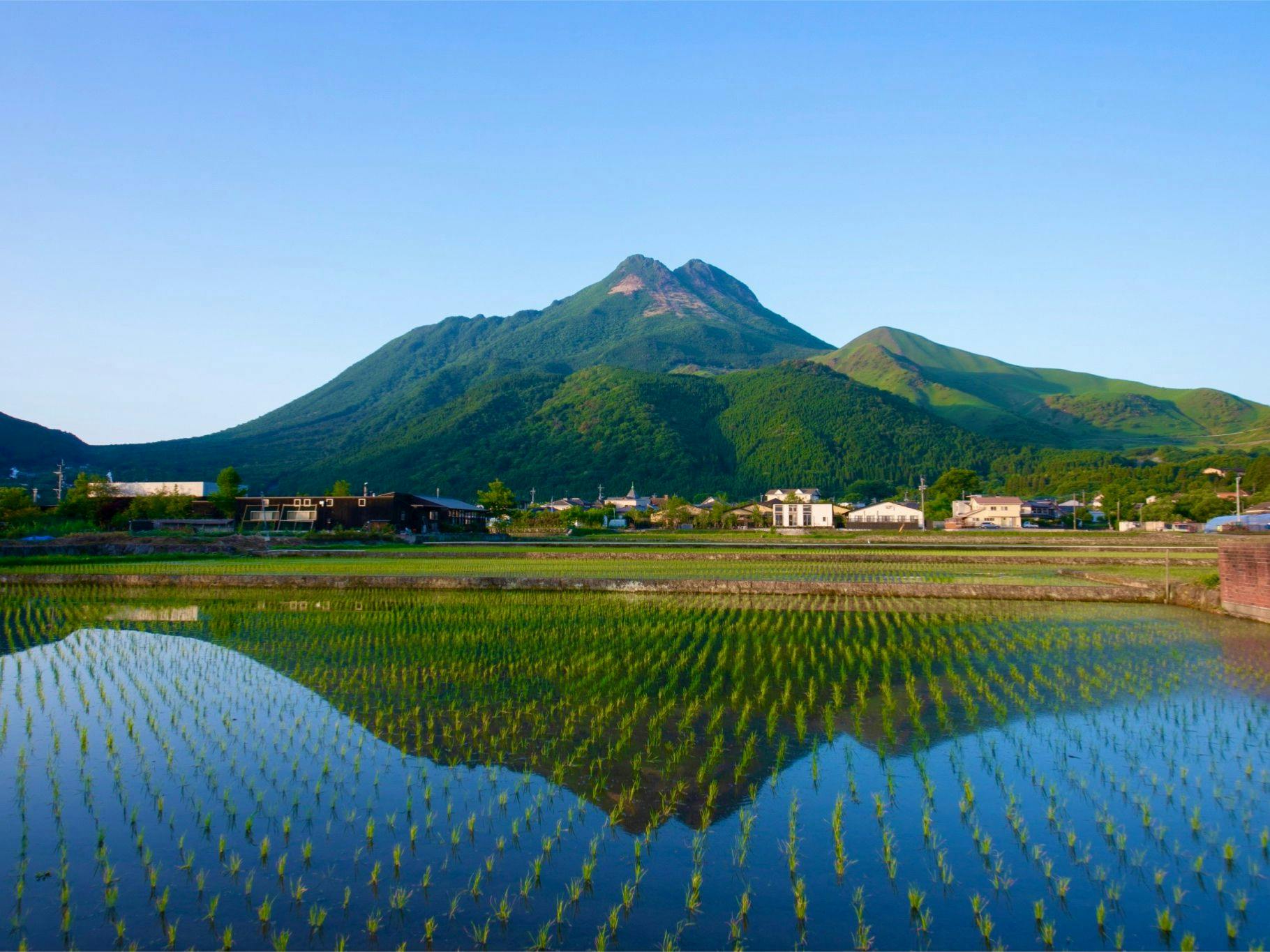 Terletak sekitar 10 menit berjalan kaki dari Stasiun Yufuin.
