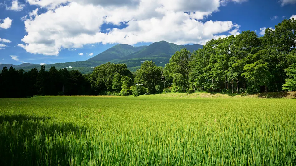 Hoshino Resorts RISONARE Nasu