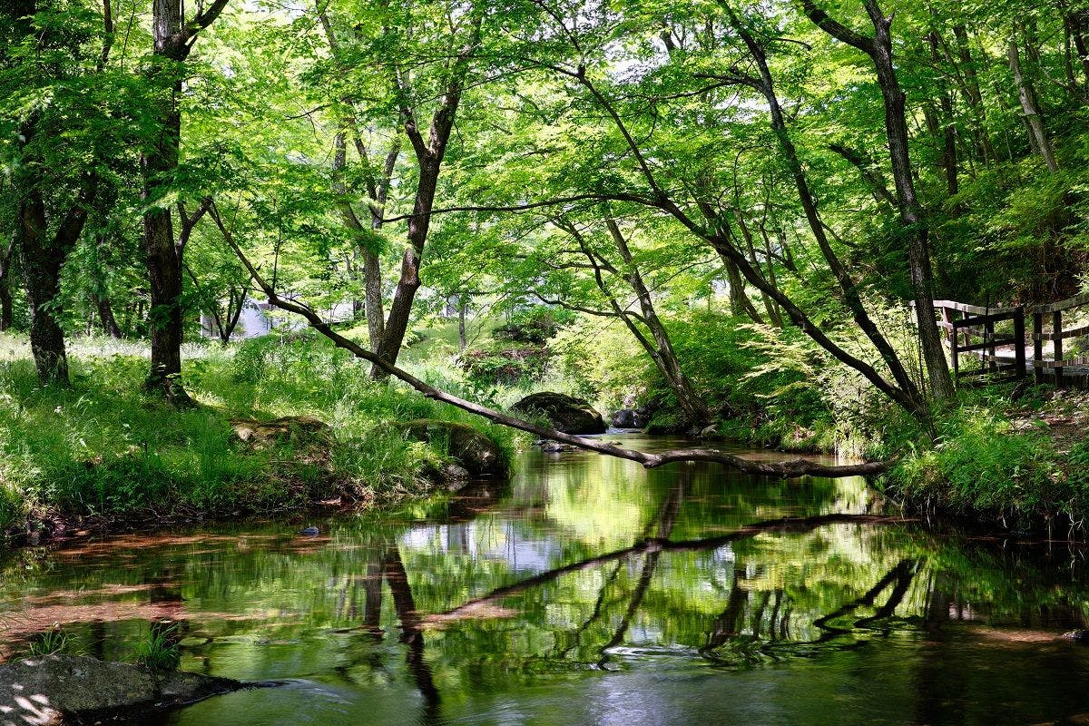 Pemandangan di dalam Fasilitas pada awal musim panas