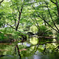 Pemandangan di dalam Fasilitas pada awal musim panas